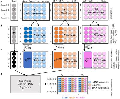 Cox-sMBPLS: An Algorithm for Disease Survival Prediction and Multi-Omics Module Discovery Incorporating Cis-Regulatory Quantitative Effects